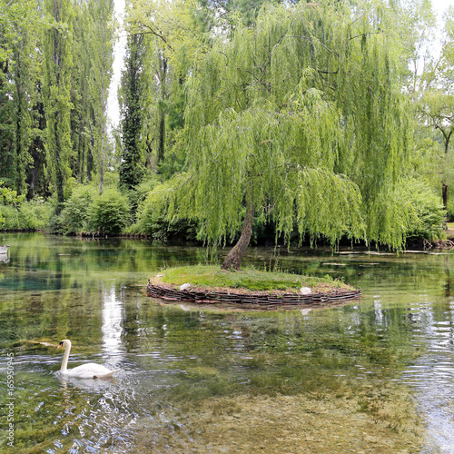 Little isle with willow on the Fonti del Clitunno lake in Umbria. photo