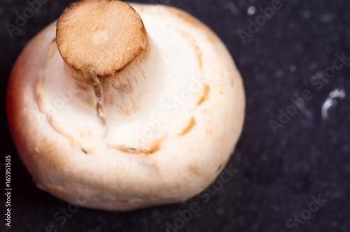 mushrooms - champignons on black background