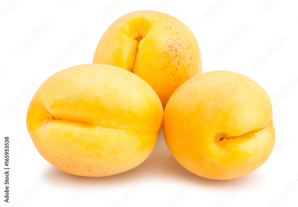 apricot apricot