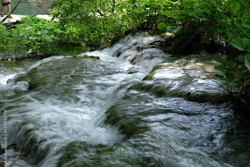 Fototapeta premium Bach Nationalpark Plitvicer Seen
