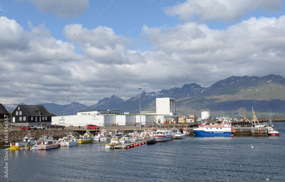 Hafen von Djupivogur, Island