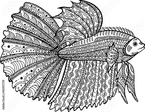 Betta fish hand drawn coloring page