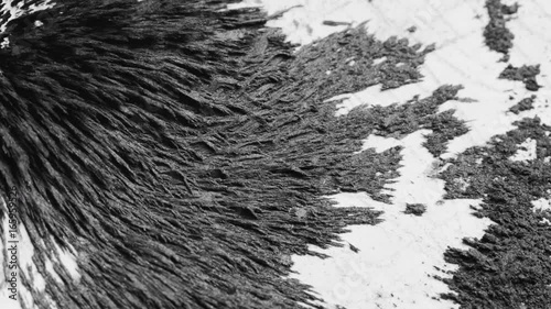 Magnetic sand movement, macro close up