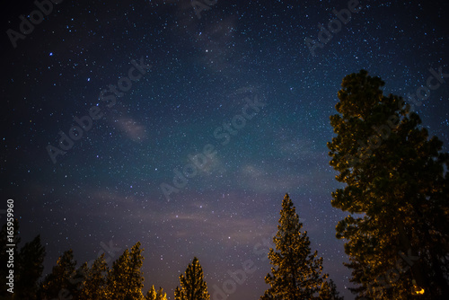 night sky with ursa minor and polaris photo