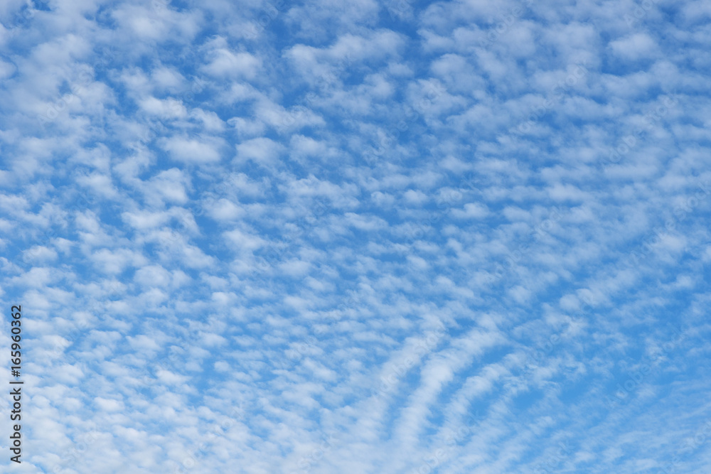 Blue beautiful sky with snow-white clouds of different shapes, background