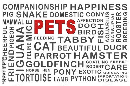 Pets