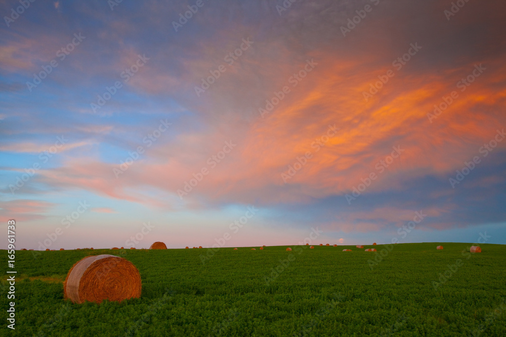 Hay bales in the field at sunset