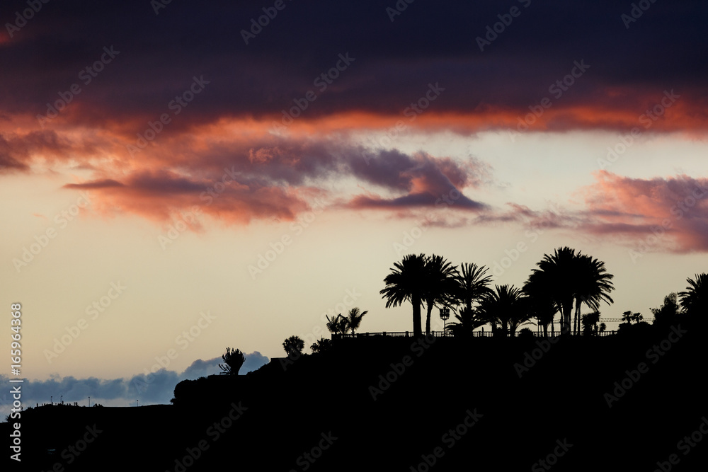 Tenerife sunset with palms