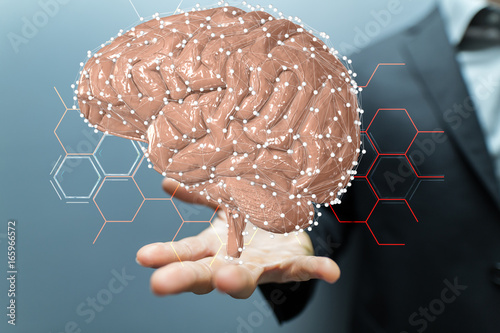 brain