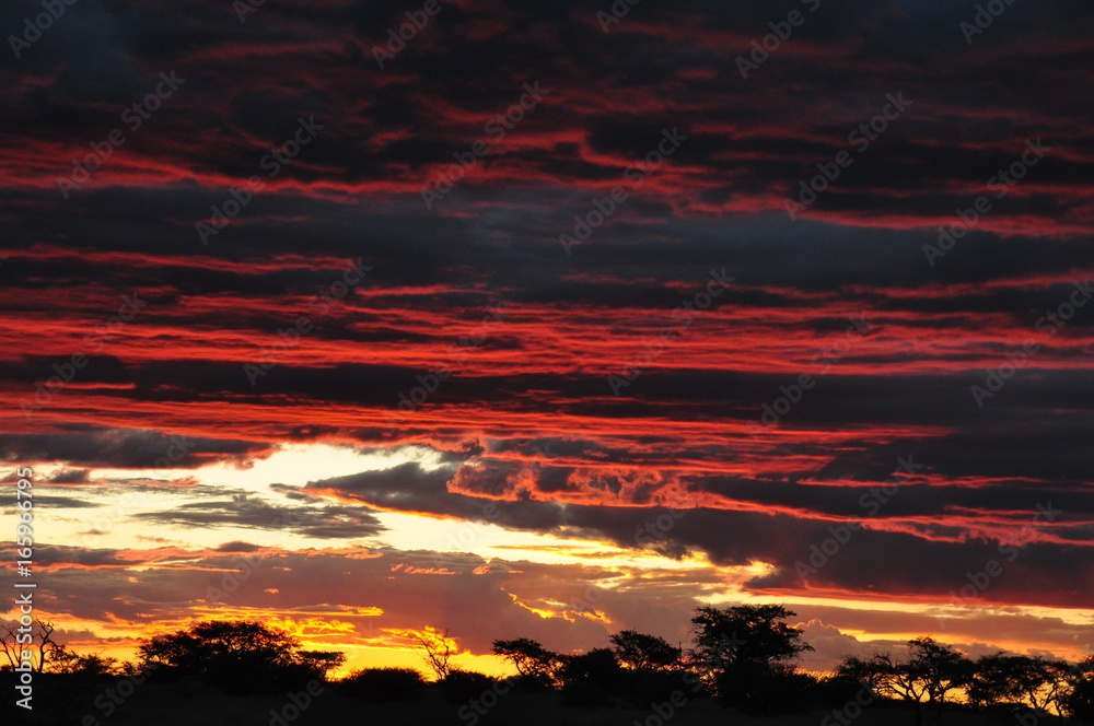The Namibian Sky.
