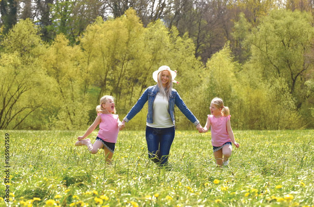 Fototapeta premium A young mother takes her twin daughters for a walk in a flower field. They stroll along in the field having fun together.