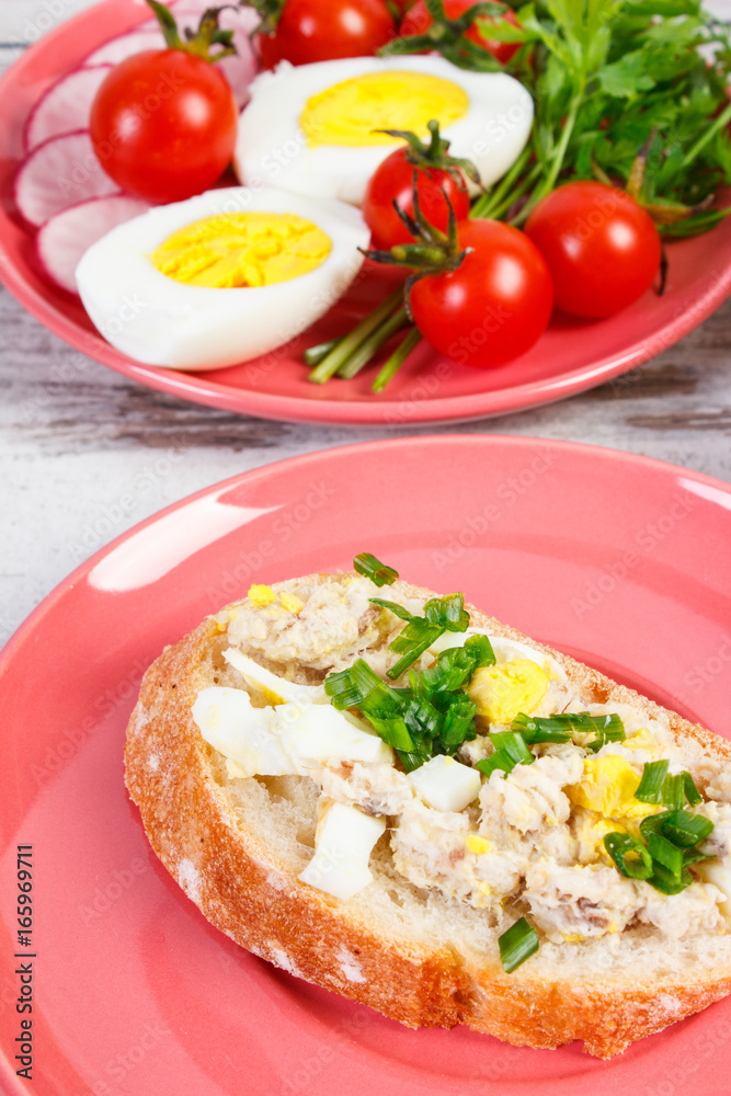 Slice of crusty baguette with fish paste, egg, tomato and radish Slice of crusty baguette with fish paste, egg, tomato and radish