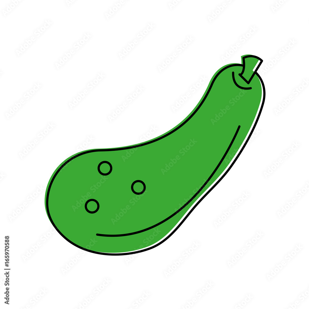 zucchini vegetable icon image zucchini vegetable icon image
