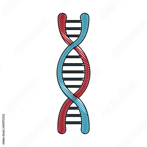 dna molecule structure science genetic structure