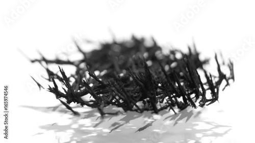 Magnetic sand in liquid, macro close up