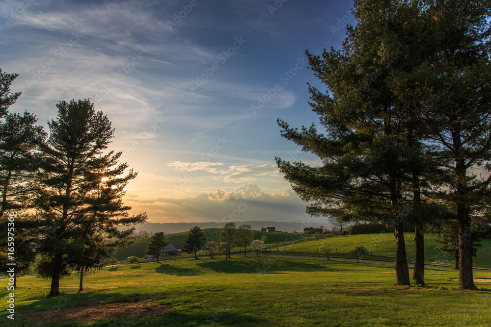 Golden light plays over the grass and trees of the countryside, casting long, luxuriant shadows. Golden light plays over the grass and trees of the countryside, casting long, luxuriant shadows.