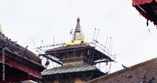 Slow motion, pigeons on abandoned temples