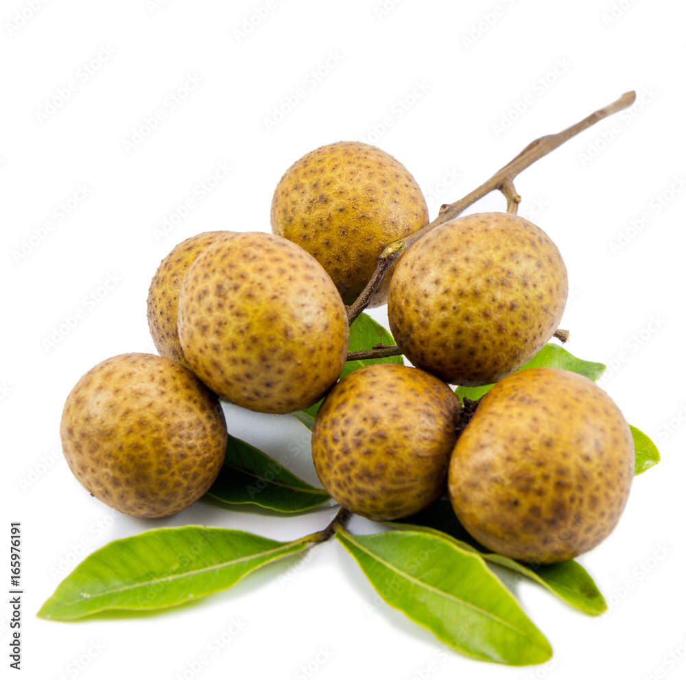 Longan (Dimocarpus longan) on white background Longan (Dimocarpus longan) on white background