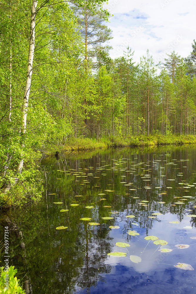 Landscape lake and forest Landscape lake and forest