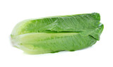 Cos lettuce on white background.
