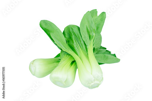 Bok choy (chinese cabbage) isolated on white