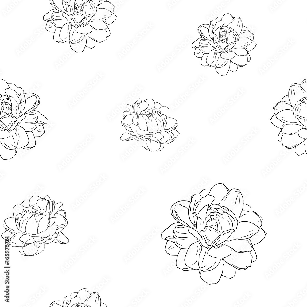 jasmine flower use in traditional mother's day , hand draw sketch seamless pattern vector. jasmine flower use in traditional mother's day , hand draw sketch seamless pattern vector.