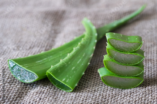 Green Aloe vera