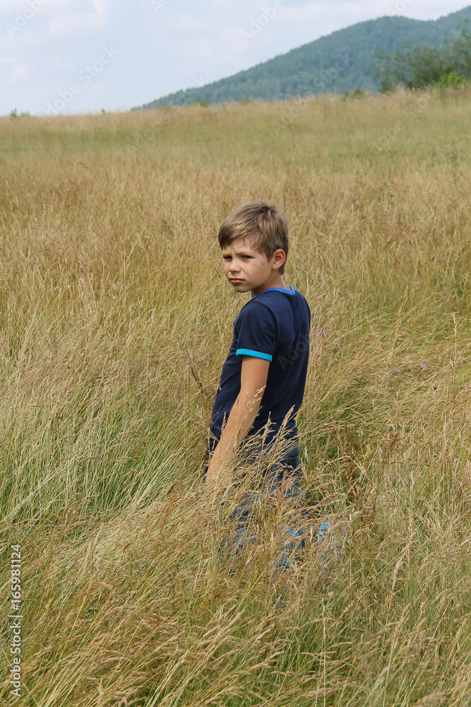 Handsome boy in summer meadow Handsome boy in summer meadow