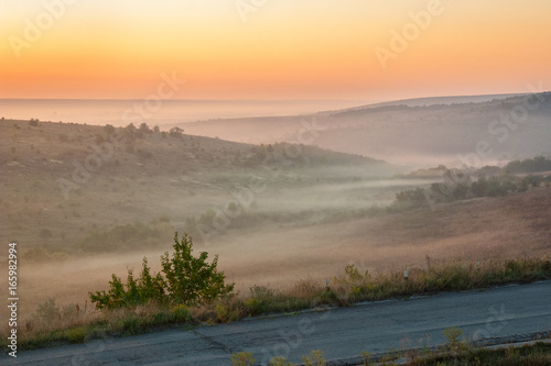 Old asphalt road in the countryside into fog at sunrise in summer.