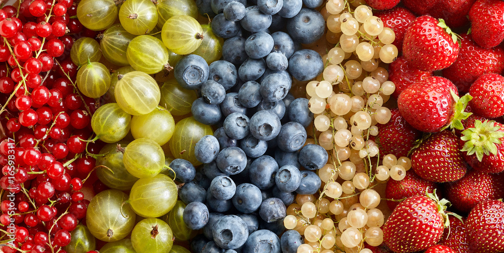 various berries background various berries background