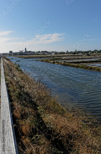 Wallpaper Mural NOIRMOUTIER : vue sur les marais salants Torontodigital.ca