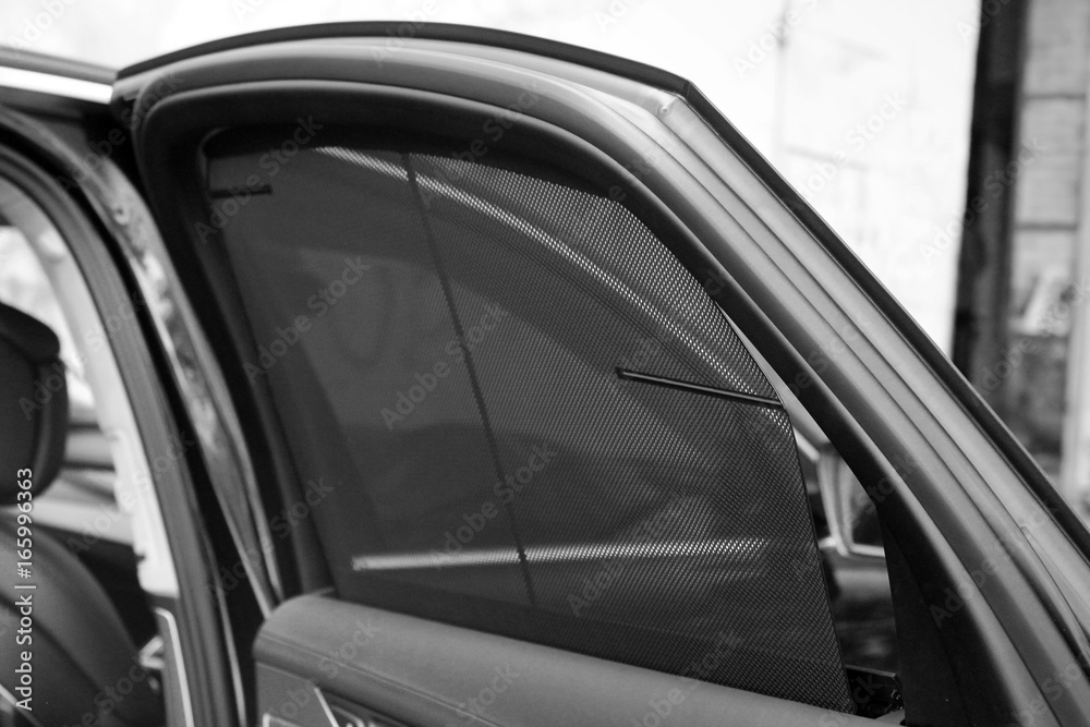 Automotive electrical  curtain