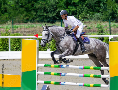 Rider on gray horse in jumping show, equestrian sports. Dappled gray horse and rider in white shirt over a jump. Hot, shiny day.