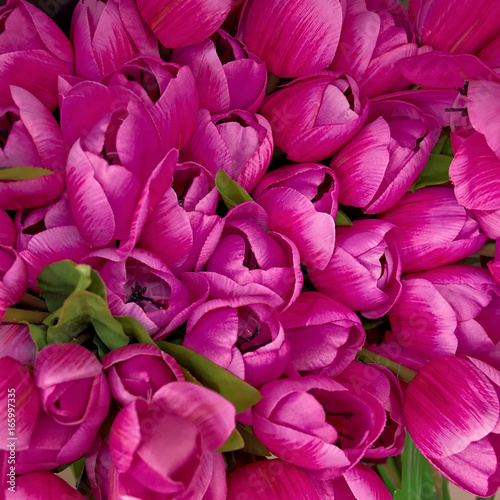 colorful dark violet fake tulips, floral background