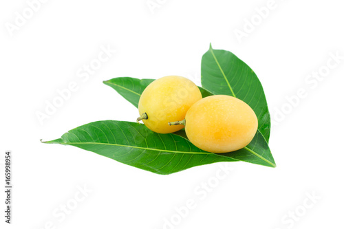 sweet Marian plum thai fruit isolated on white background (Mayongchid Maprang Marian Plum and Plum Mango,Thailand)