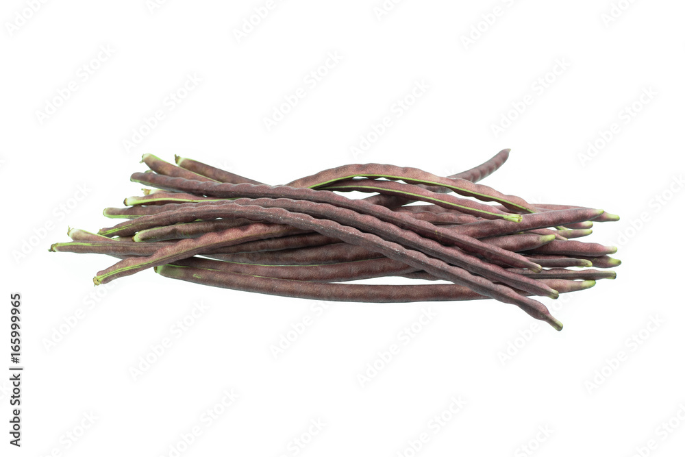 purple yardlong bean isolated on white background purple yardlong bean isolated on white background