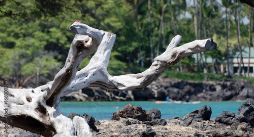 Wooden details of natural decorations at beautiful Waialea beach