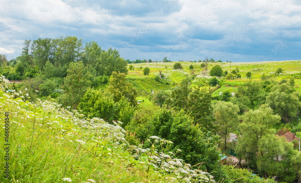 Summer landscape with meadow, grass and flowers Summer landscape with meadow, grass and flowers
