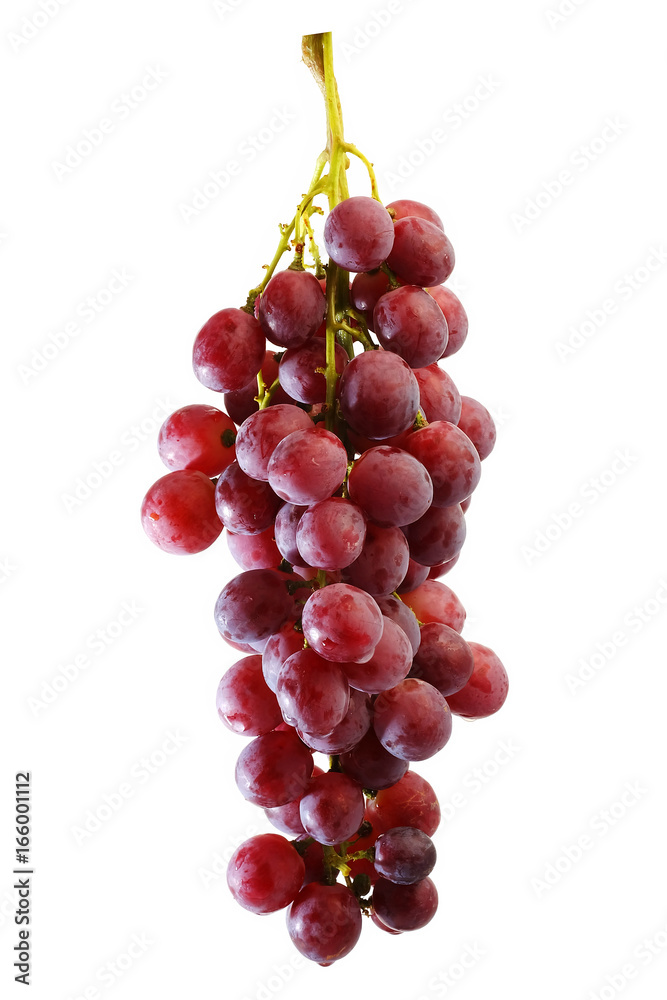 Fototapeta premium bunches of Summer fresh red grape with white isolate background