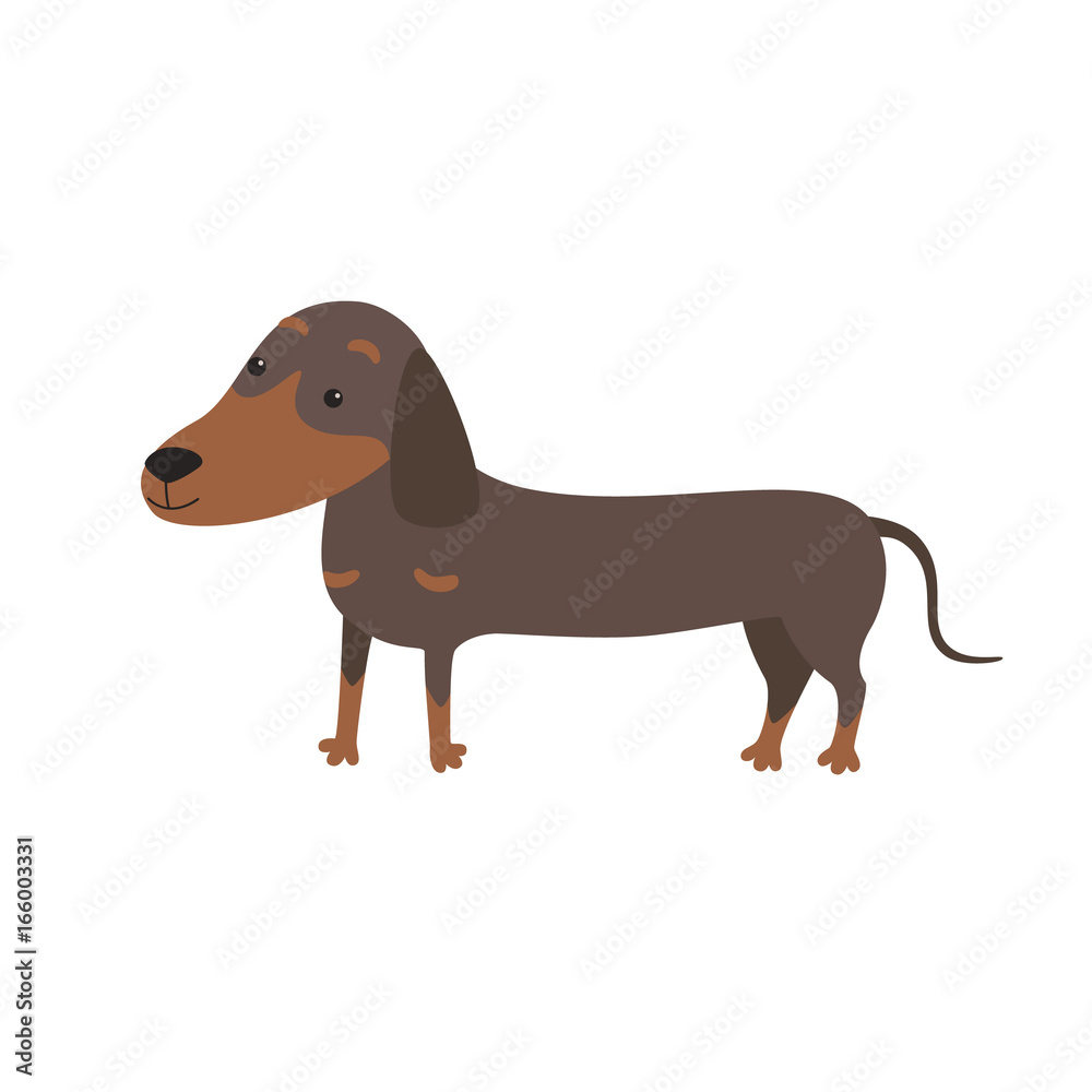Cartoon Vector Illustration of Cute Purebred Dachshund Dog.