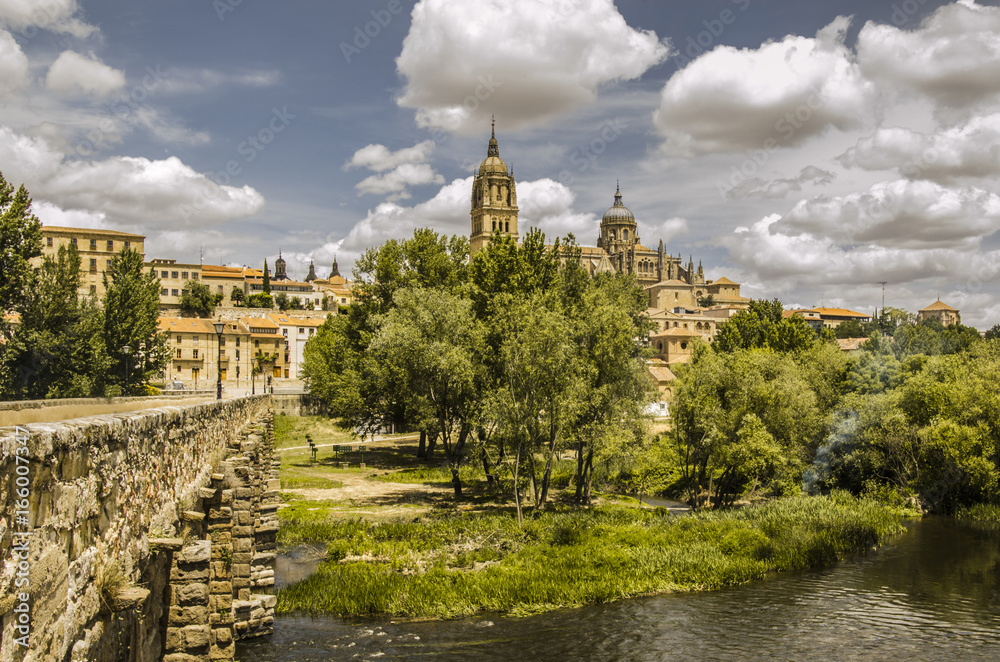 Old roman bridge and the old and new cathedral in the city of salamanca