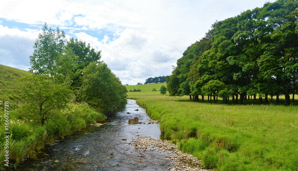 The River Aire in the Yorkshire Dales. The River Aire in the Yorkshire Dales.