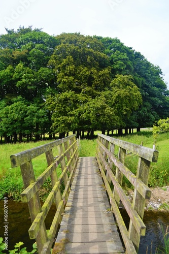 A wooden footbridge in the Yorkshire countryside.