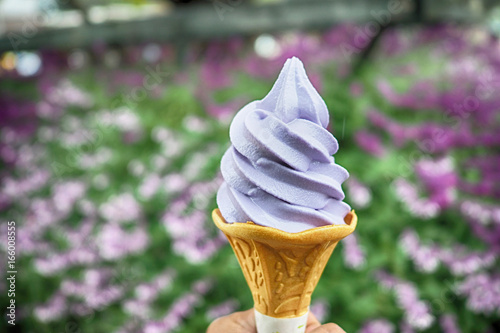 Delicious lavender flavor soft cream with ice cream cone and lavender field background