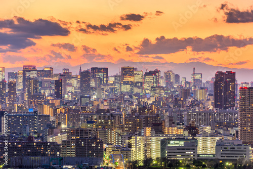 Tokyo, Japan Cityscape © SeanPavonePhoto