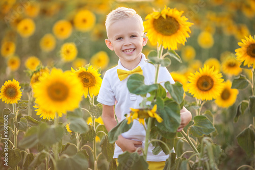 Beautiful child boy in yellow garden of sunflowers