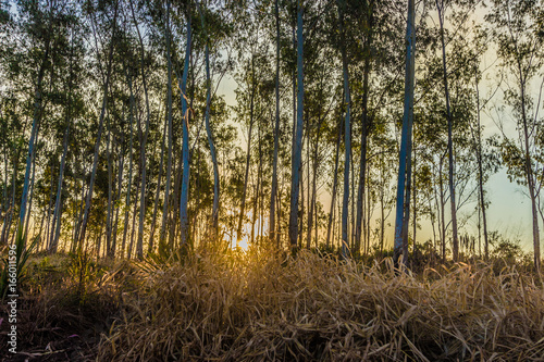 Sunset in Paraguay