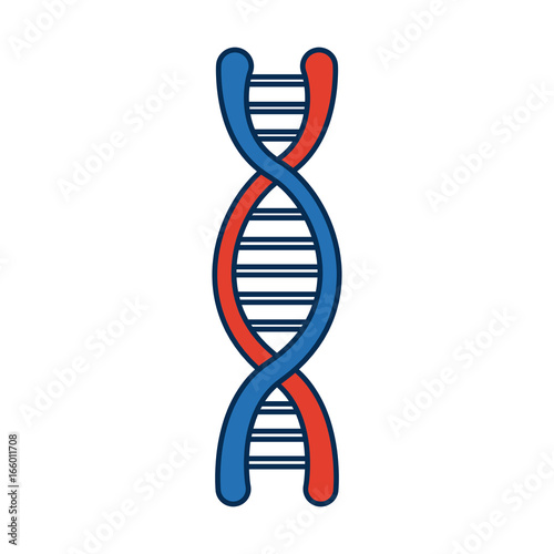 dna molecule structure science genetic structure
