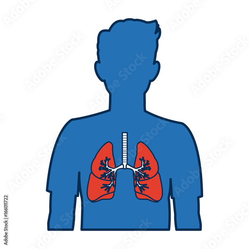 human silhouette with respiratory system
