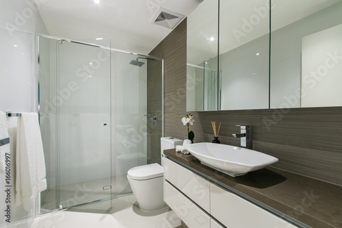 A modern bathroom with a shower area and a bathtub including a wall mirror